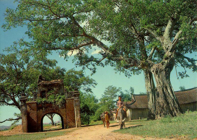 Làng quê Việt Nam